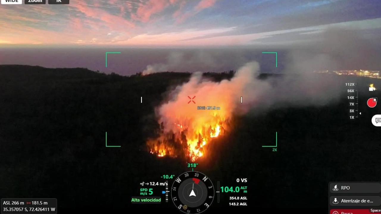 Incendio Forestal en Constitución: Autoridades Confirman que Fueron Provocados
