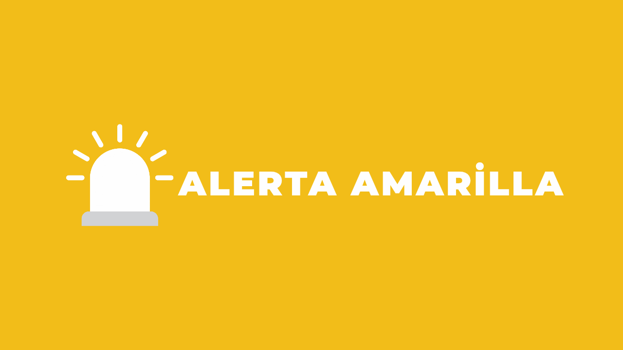 Senapred declara alerta amarilla por incendio forestal sectorTrinitarias en Concepción