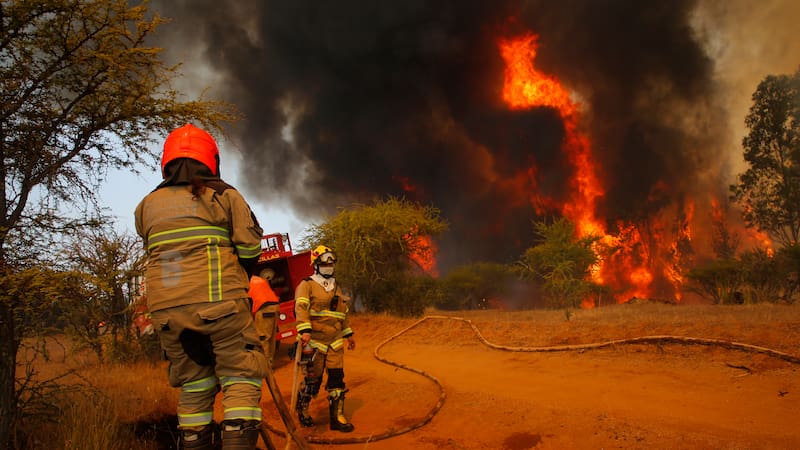 Prevención de Incendios Forestales