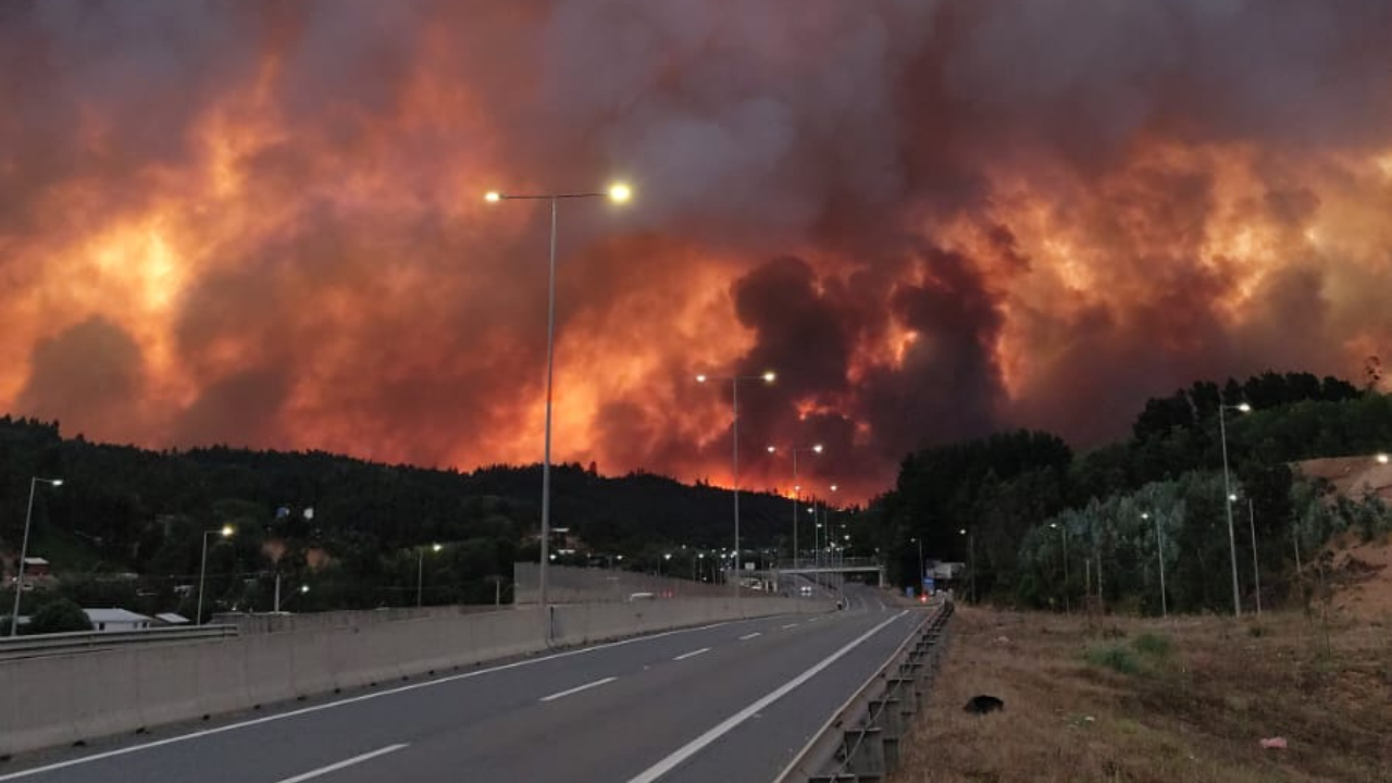 Crisis por incendios en el Biobío: Decretan Toque de Queda y Alerta Roja Regional