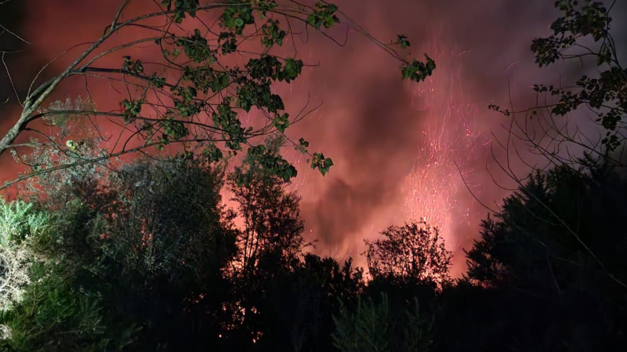 Incendio forestal afecta sector de Alerce en la Comuna de Puerto Mont en la Región de Los Lagos