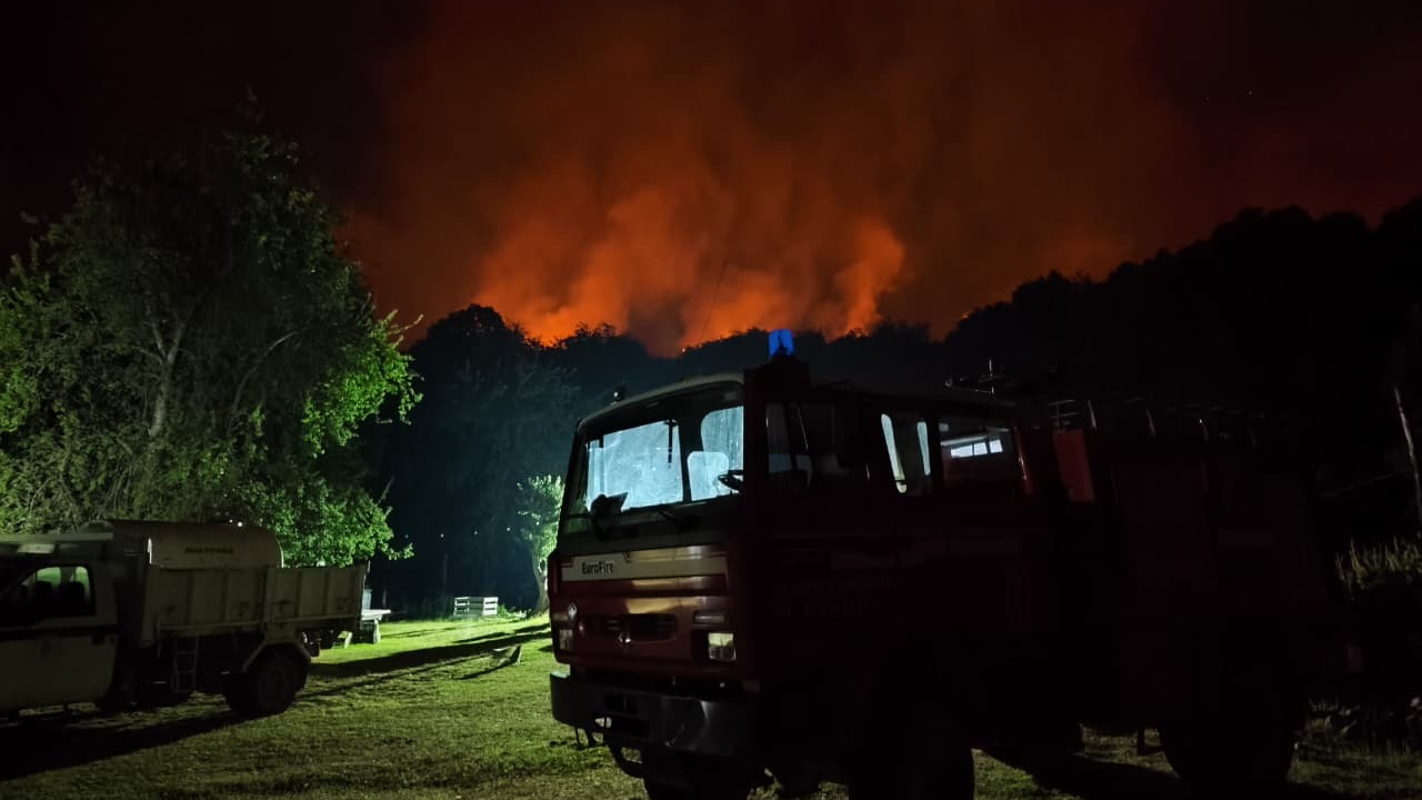 Chile despliega recursos en apoyo para combatir el incendio forestal que afecta en el Parque Nacional Los Alerces Argentina