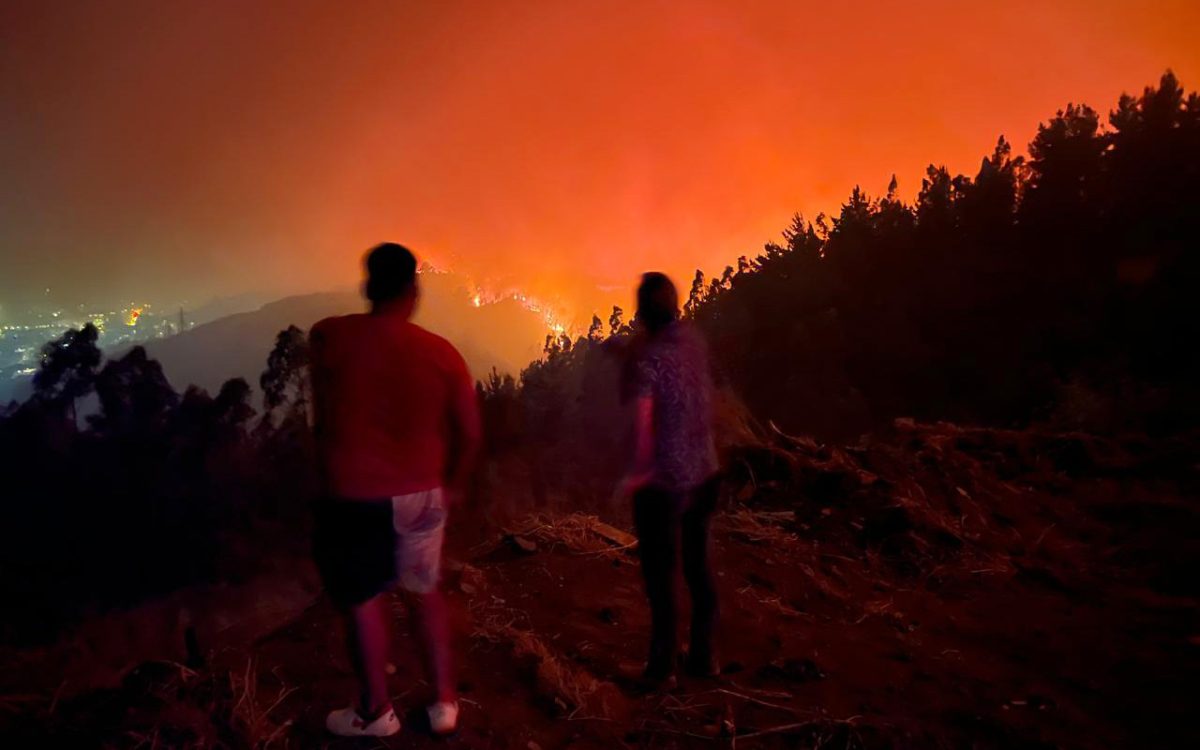 Alerta Roja en Penco y Concepción por Incendios Forestales de Rápida Propagación