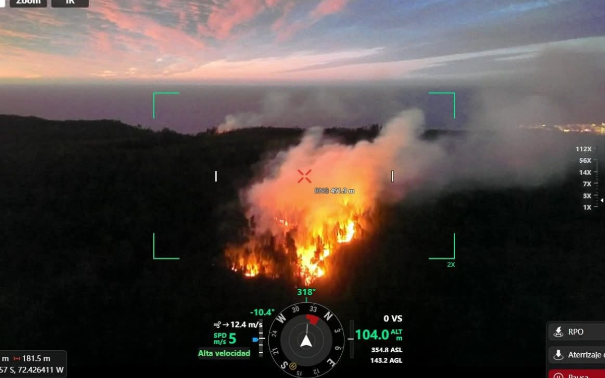Incendio Forestal en Constitución: Autoridades Confirman que Fueron Provocados
