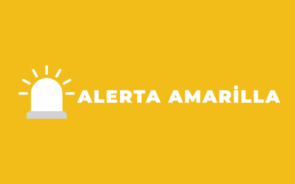 Senapred declara alerta amarilla por incendio forestal sectorTrinitarias en Concepción