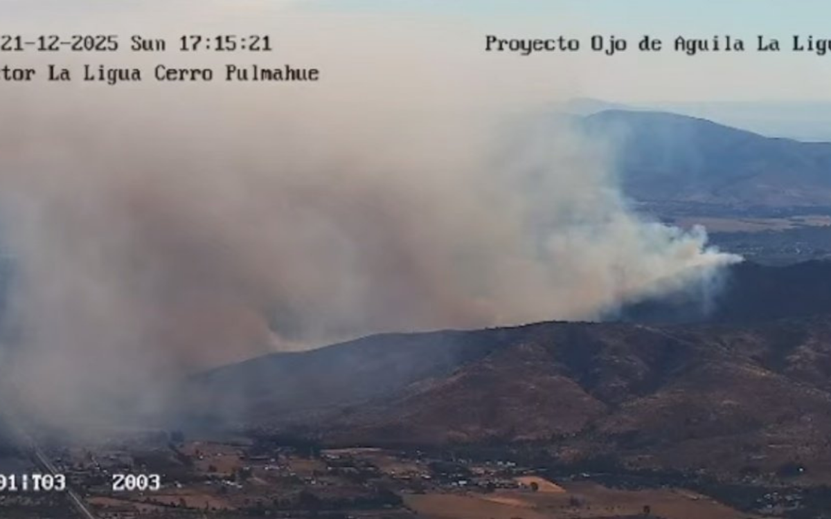 Incendio “La Foresta” en Zapallar y La Ligua se mantiene sin avance tras afectar 100 hectáreas