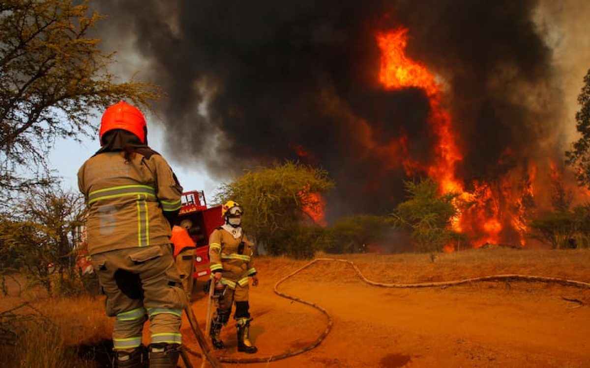 Prevención de Incendios Forestales