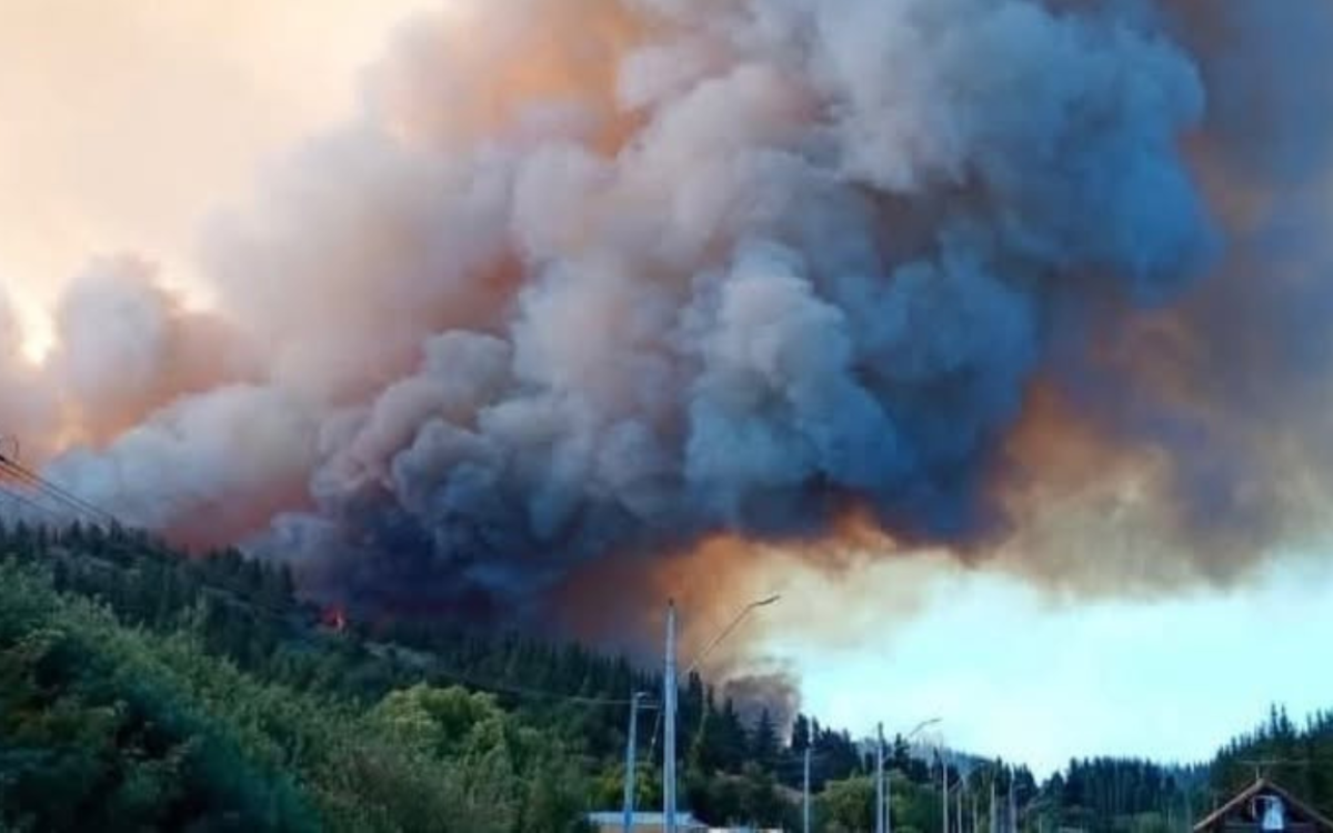 Alerta roja en Ránquil por incendio forestal que amenaza a sectores habitados