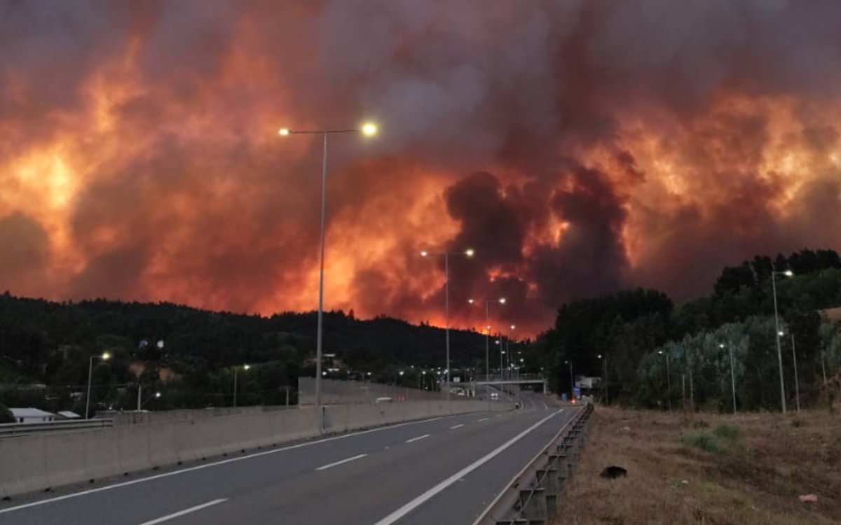 Crisis por incendios en el Biobío: Decretan Toque de Queda y Alerta Roja Regional